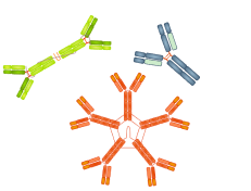Компонент КИП/антитела